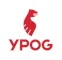 YPOG