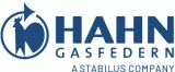 Hahn Gasfedern GmbH