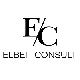 ELBEIT CONSULT GmbH