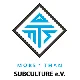 More Than Subculture E.v.