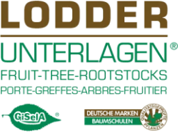 Lodder Unterlagen GmbH