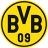 Borussia Dortmund GmbH & Co. KGaA