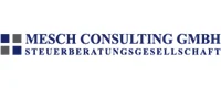 MESCH CONSULTING GMBH